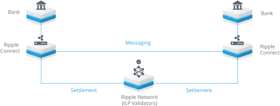 According To Ripple (1000x400), Png Download