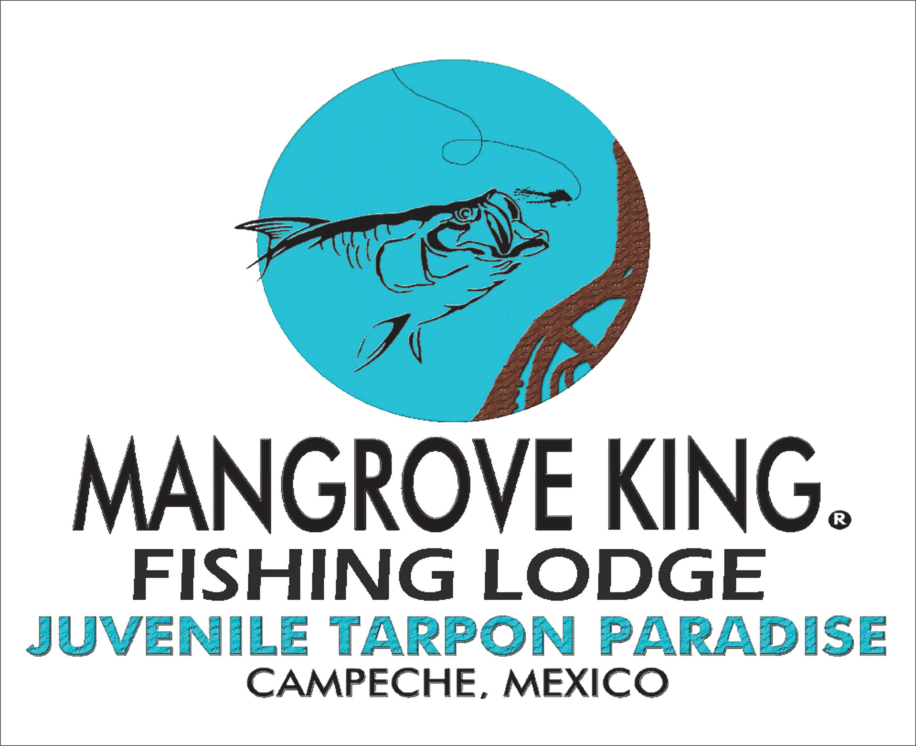 Mangrove King Fishing Lodge (2966x2416), Png Download