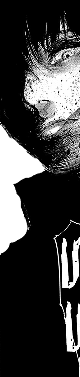 Lien Direct, (257x1200), Png Download