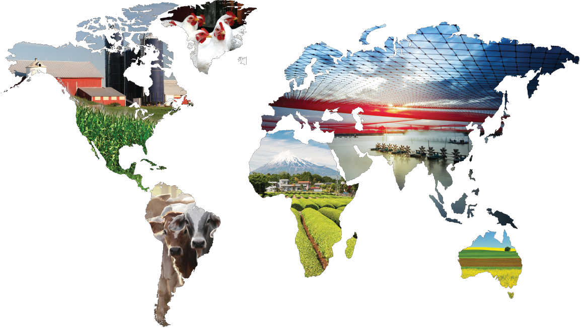 Investing In Global Diversity (1156x652), Png Download