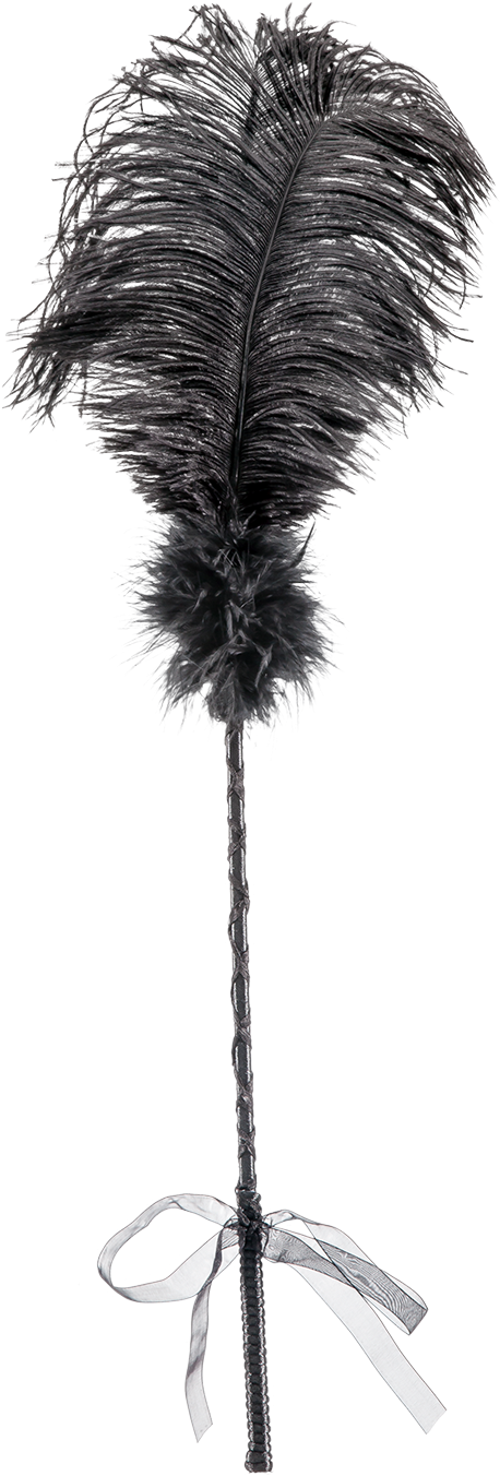 La Vie Nue Showgirl Feather Tickler (1400x1400), Png Download
