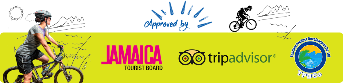 Hey Welcome To Blue Mountain Bicycle Tours (1181x296), Png Download