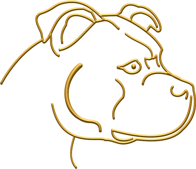 I Have Achieved Qualifications In A Number Of Courses, (683x589), Png Download