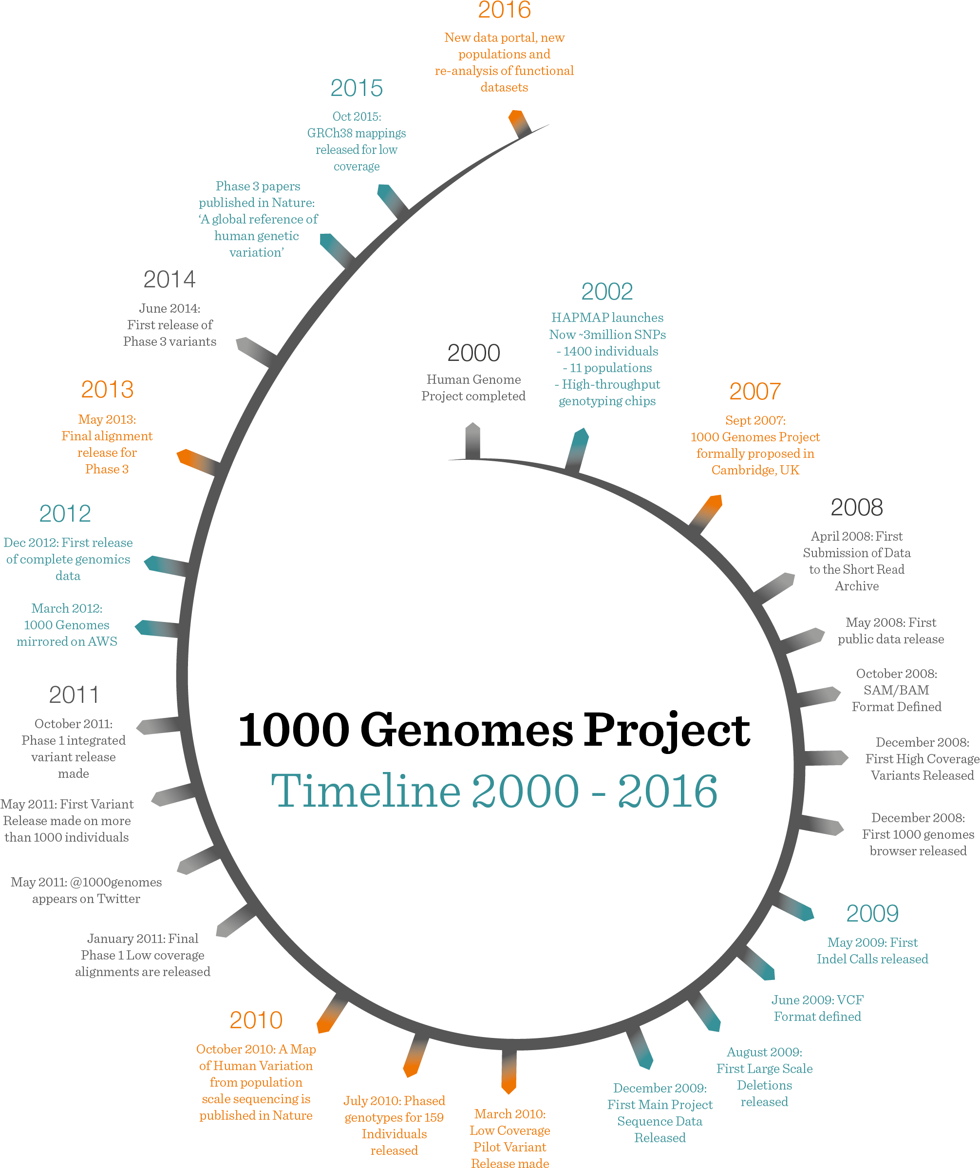 1000 Timeline Portrait (2017x2440), Png Download