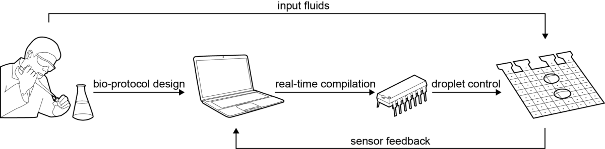 Online Synthesis For Error Recovery In Digital Microfluidic (1200x297), Png Download