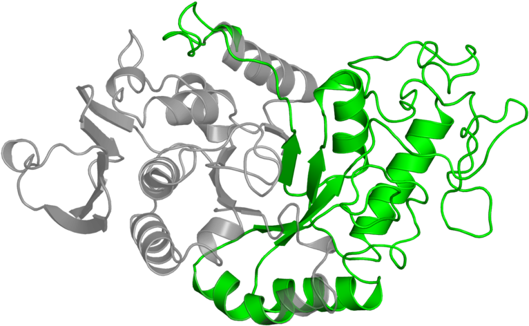 <div Class='caption-body'>1 Copy Of Pfam Domain (800x800), Png Download