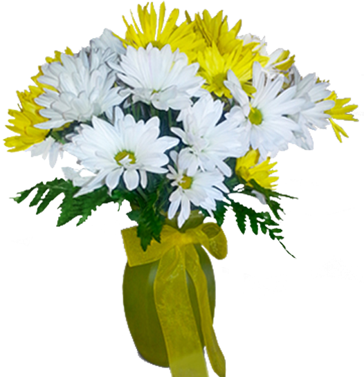 Pick A Daisy (600x600), Png Download