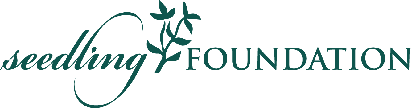 The Seedling Foundation (1336x352), Png Download