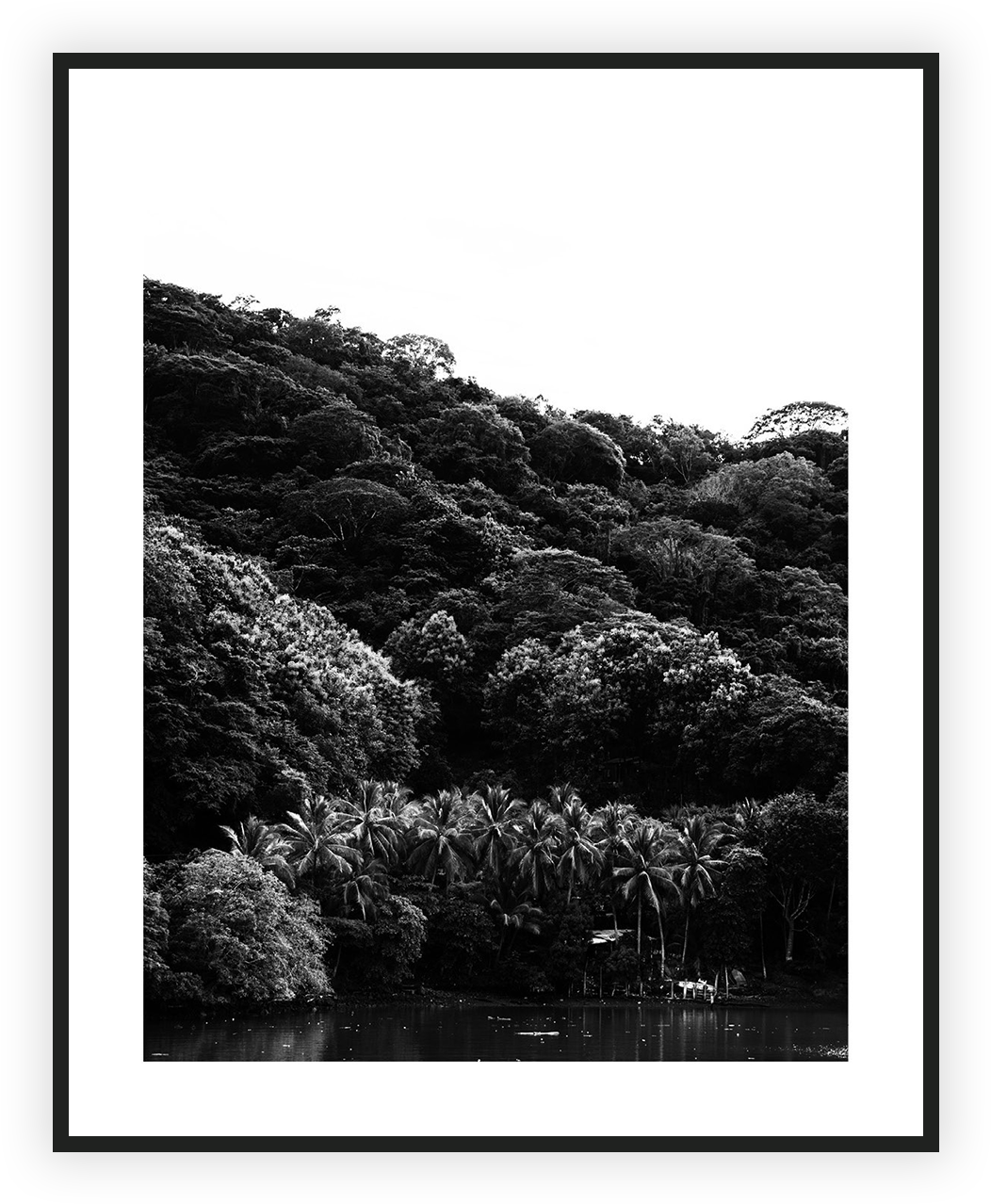 Home/nature/costa Rica Forrest (1063x1289), Png Download