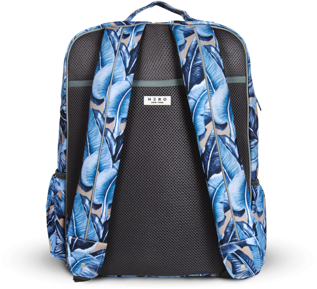 Desert Palm (672x678), Png Download