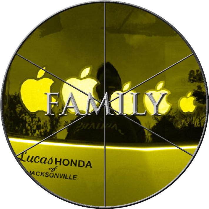 So This Makes Me An Expert (750x750), Png Download