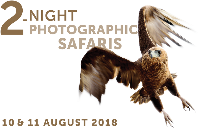 31 May 2018mabula Photo Safari Package 800×500 August (800x574), Png Download