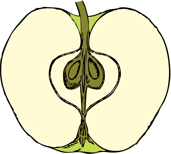 Apple Clip Art At Clker (600x541), Png Download