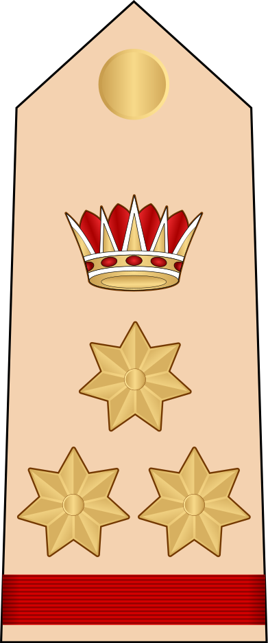Gold Tiara Png (391x936), Png Download