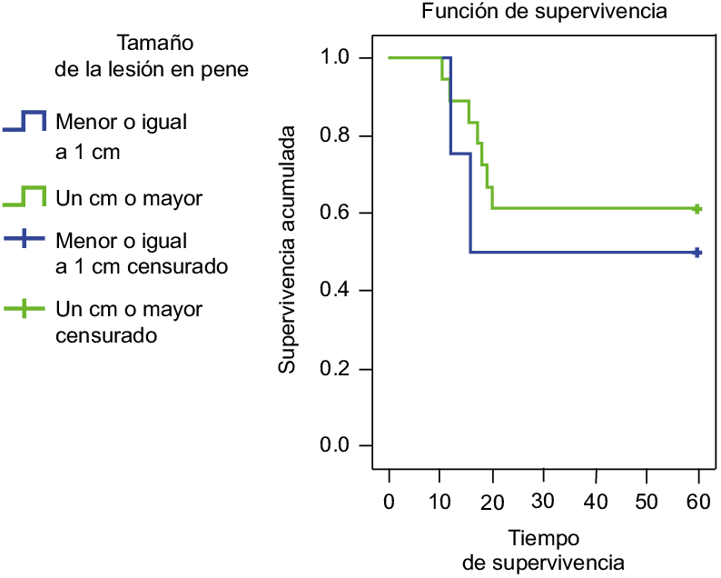 Supervivencia De Pacientes Con Cáncer De Pene Según (794x636), Png Download