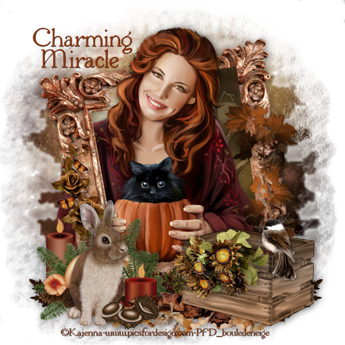 Ct Tag, Timeline And Embellishments For Charming Miracle (700x700), Png Download