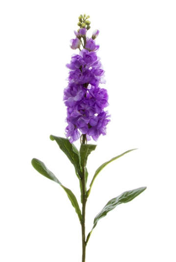 Flower Stem Png (700x700), Png Download