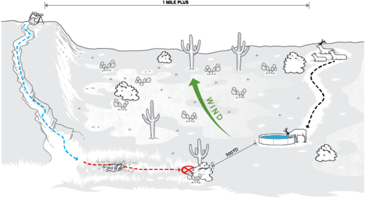 New Mexico Is Full Of Beautiful Pine Forests That Hold (1000x398), Png Download