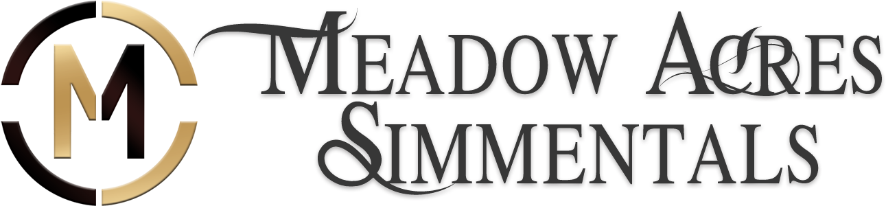 Bulls Png (1335x439), Png Download