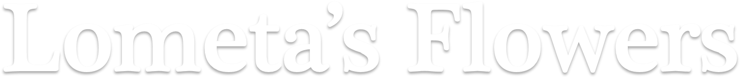 Lometa's Flowers (1769x439), Png Download