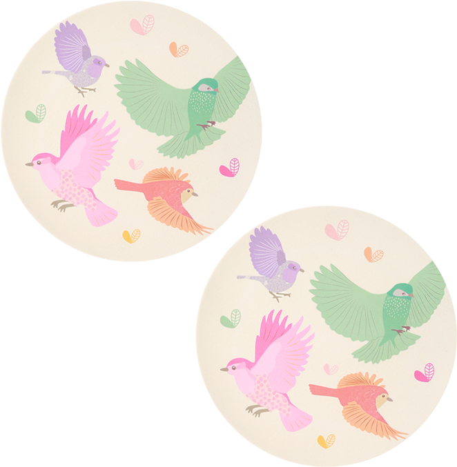 Paper Plate Png (800x800), Png Download