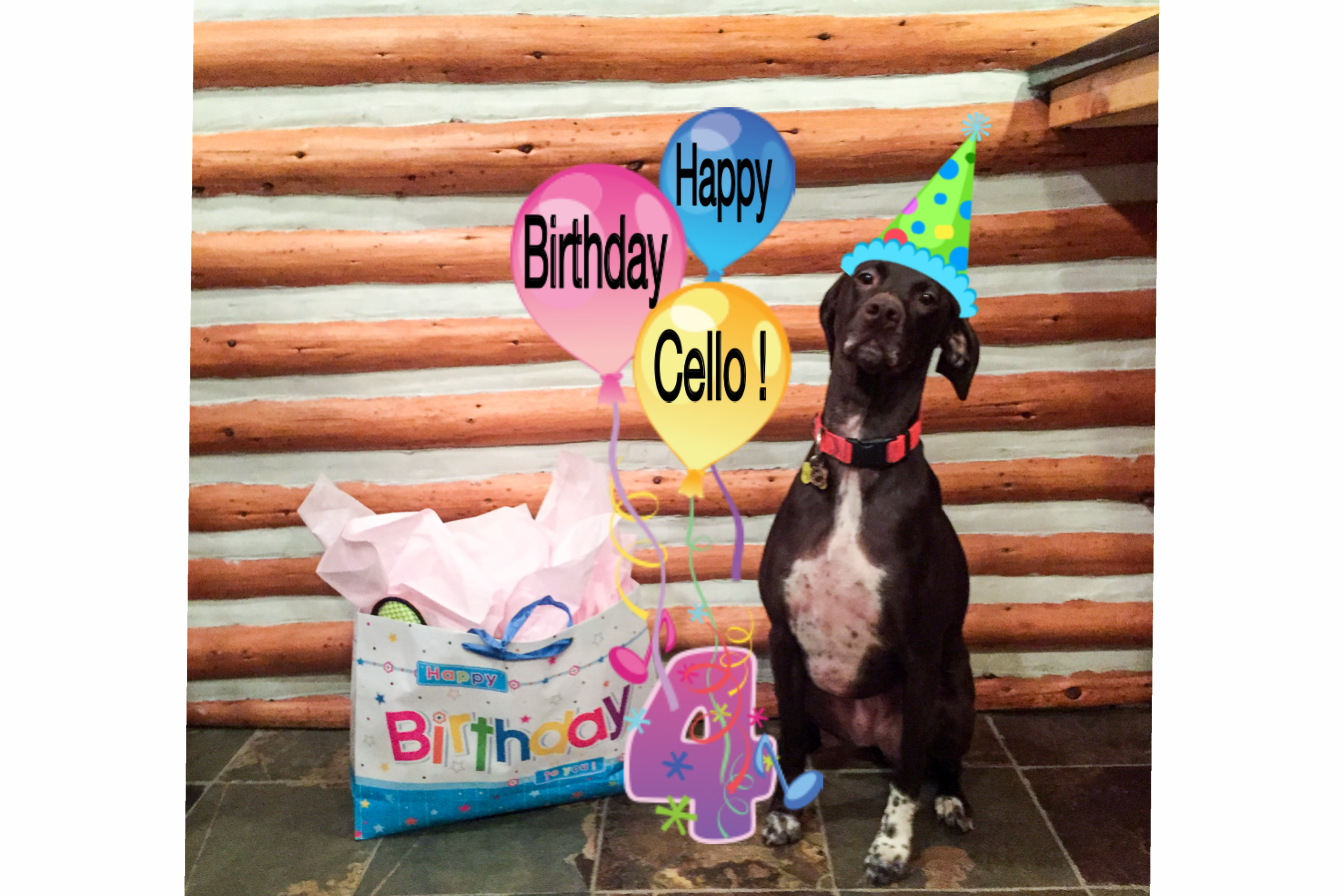 Bday (3413x2275), Png Download