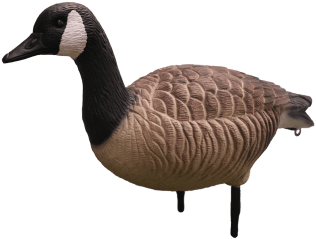 Eva Plastic Goose Decoys (650x650), Png Download