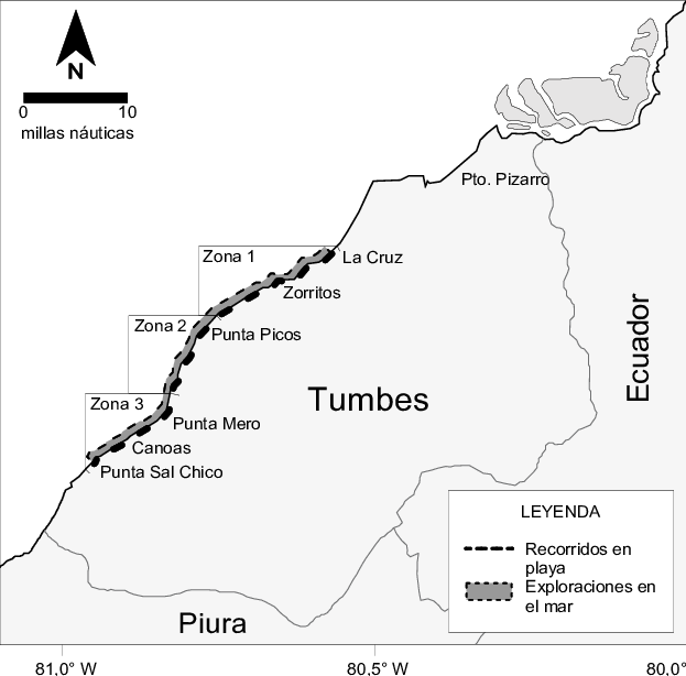 Área De Estudio De Lepidochelys Olivacea En Tumbes, (623x614), Png Download