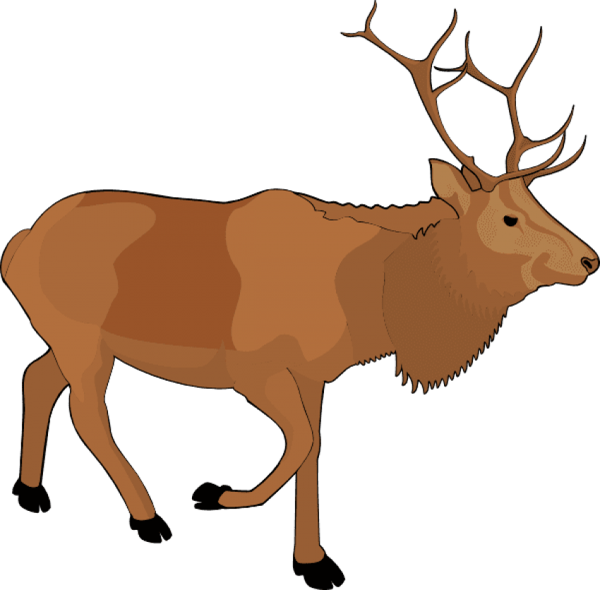 Free Png Moose Png Images Transparent (850x835), Png Download