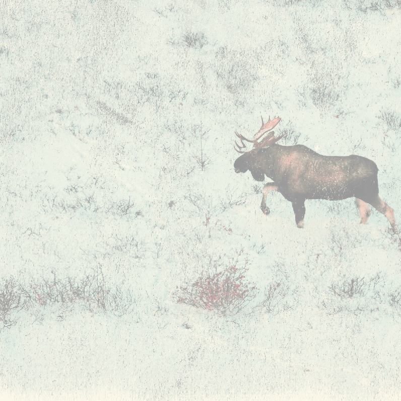 Home About Video Gallery Climate (796x797), Png Download