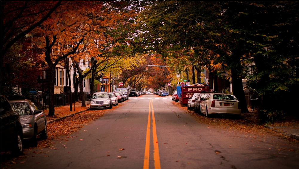 Score 50% (1000x1000), Png Download