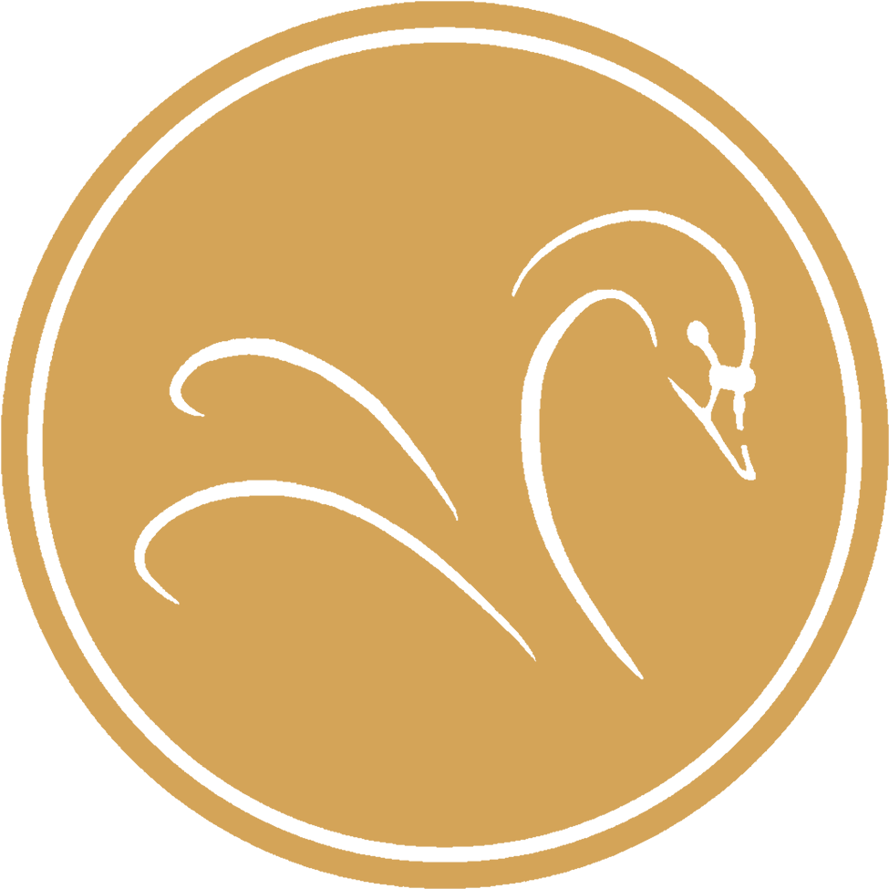 Black Swan Png (1024x1024), Png Download