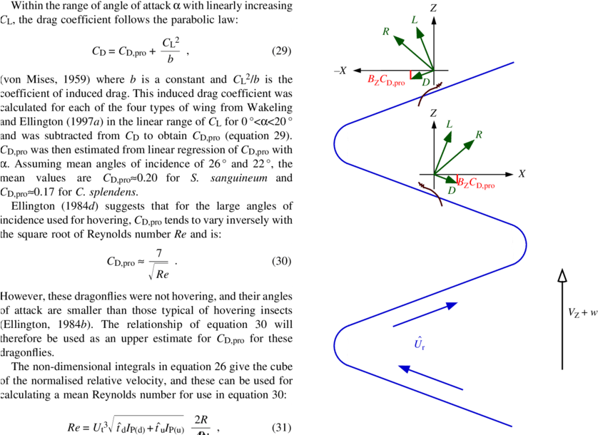 Acts 'downwards' During Both The Morphological Up-and (850x617), Png Download