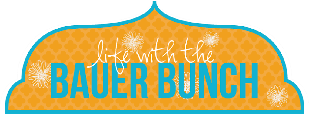 Life With The Bauer Bunch (1020x386), Png Download