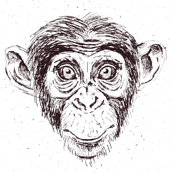 Chimp (575x575), Png Download