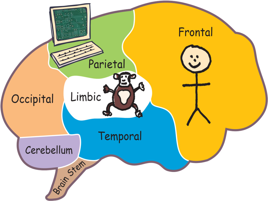 Get Your Inner Chimp Interview Ready Presentation (933x696), Png Download