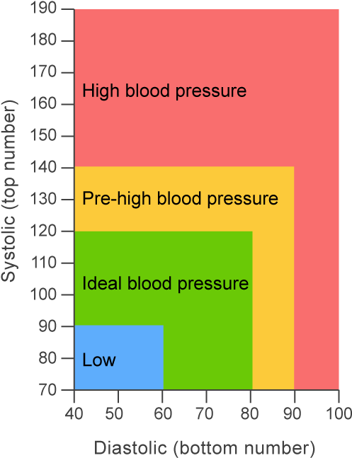 How Healthy Is Your Heart (520x660), Png Download