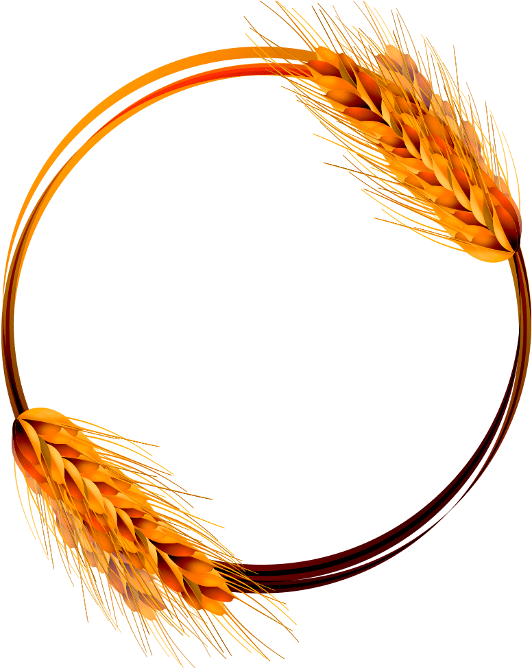 Trigo (1920x1080), Png Download