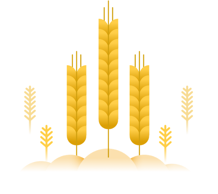 O Trigo (706x628), Png Download