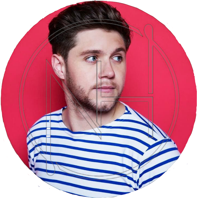 Niall Horan Png (657x659), Png Download