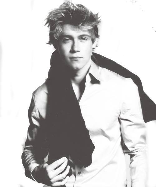 Niall Horan Png (800x600), Png Download