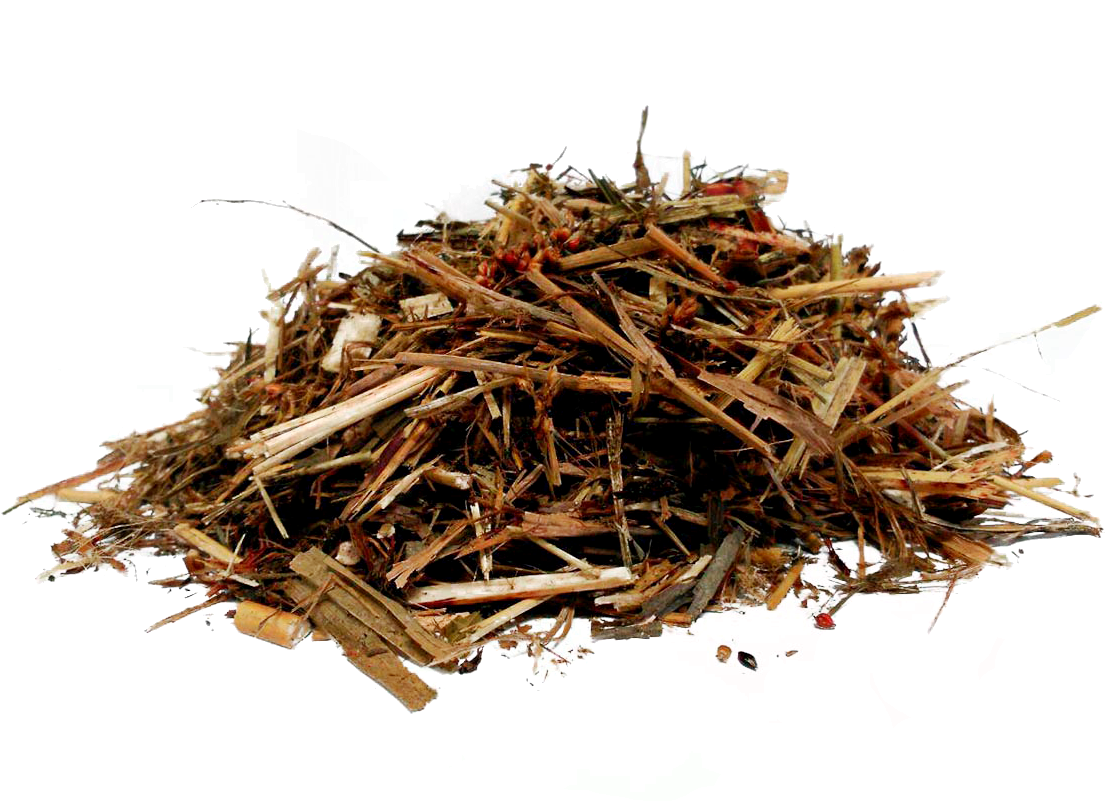 Pasto Png (1198x890), Png Download