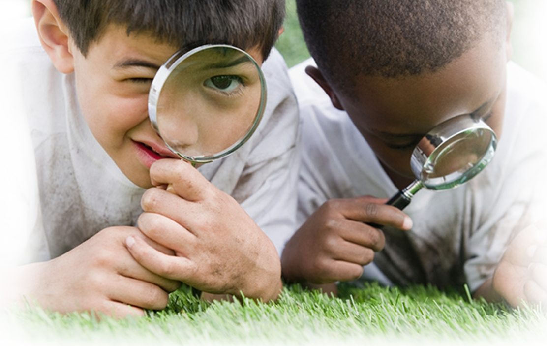 Search And Sort Nys Standards Quicker And Easier Than (1112x703), Png Download