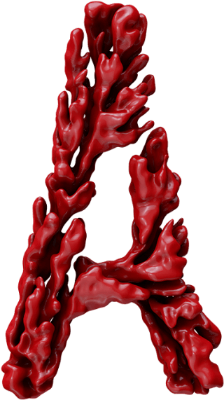 Red Coral Font (595x595), Png Download