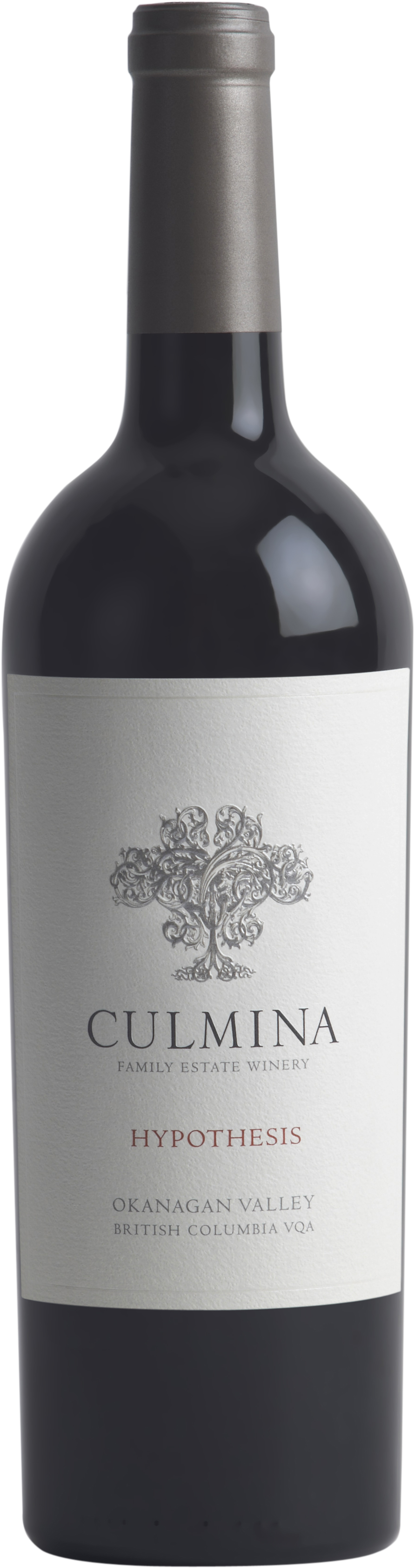 Hypothesis Nv Hi Res Png (892x3367), Png Download