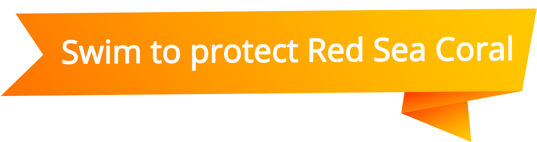 The Morning Of Saturday Of 26th January 2019, A Day (1150x292), Png Download