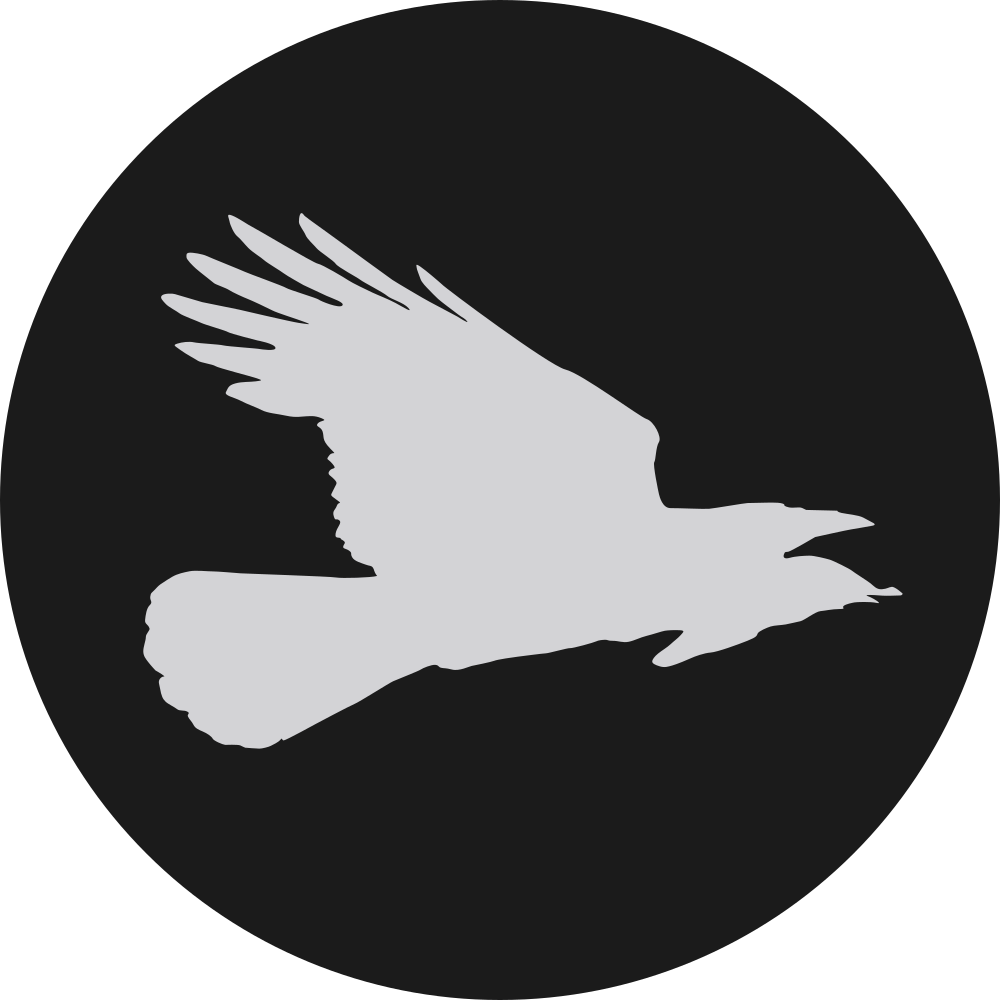 Flying Crow Press - Twitter Logo Png (1000x1000), Png Download