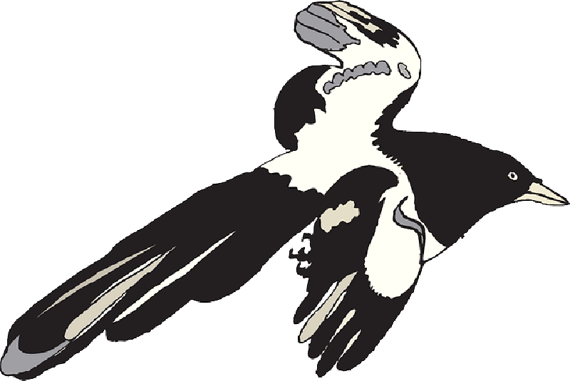Flying Crow Clipart Black And White - Dracula Kartun Hitam Putih (600x402), Png Download