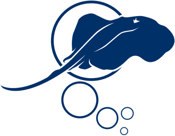 Separator - Native Diving Lanzarote (400x301), Png Download