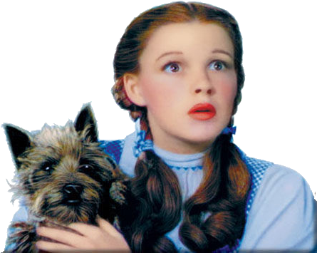 Of, Oz, And Transparent Image - We Ain T In Kansas Anymore Toto (500x357), Png Download